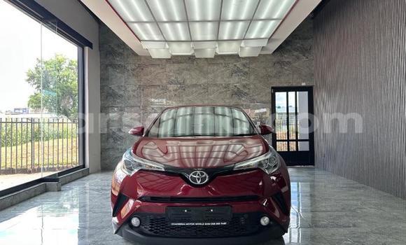 Acheter Occasion Voiture Toyota C-HR Rouge à Maseru, Maseru Acheter Occasion Voiture Toyota C-HR Rouge à Maseru, Maseru