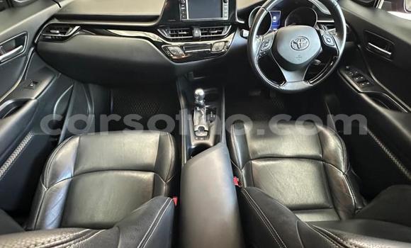 Acheter Occasion Voiture Toyota C-HR Rouge à Maseru, Maseru Acheter Occasion Voiture Toyota C-HR Rouge à Maseru, Maseru