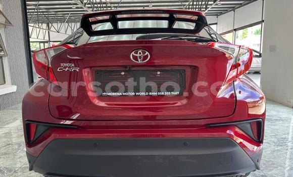 Acheter Occasion Voiture Toyota C-HR Rouge à Maseru, Maseru Acheter Occasion Voiture Toyota C-HR Rouge à Maseru, Maseru