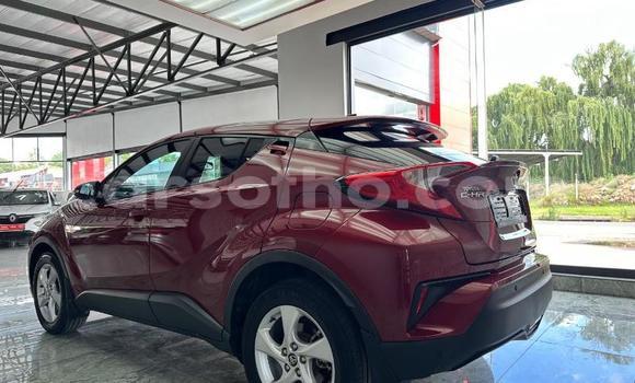 Acheter Occasion Voiture Toyota C-HR Rouge à Maseru, Maseru Acheter Occasion Voiture Toyota C-HR Rouge à Maseru, Maseru