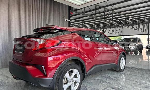 Acheter Occasion Voiture Toyota C-HR Rouge à Maseru, Maseru Acheter Occasion Voiture Toyota C-HR Rouge à Maseru, Maseru