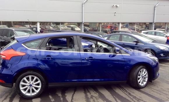 Buy Used Ford Focus Blue Car in Peka in Leribe Buy Used Ford Focus Blue Car in Peka in Leribe