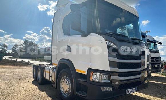 اشتري مستعمل Scania R420 White شاحنة في Maseru في Maseru اشتري مستعمل Scania R420 White شاحنة في Maseru في Maseru