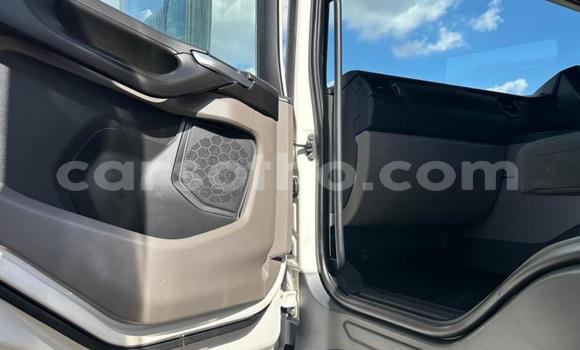 اشتري مستعمل Scania R420 White شاحنة في Maseru في Maseru اشتري مستعمل Scania R420 White شاحنة في Maseru في Maseru