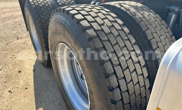 اشتري مستعمل Scania R420 White شاحنة في Maseru في Maseru اشتري مستعمل Scania R420 White شاحنة في Maseru في Maseru