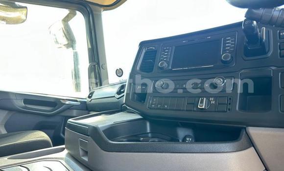 اشتري مستعمل Scania R420 White شاحنة في Maseru في Maseru اشتري مستعمل Scania R420 White شاحنة في Maseru في Maseru