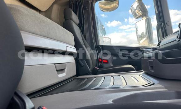 اشتري مستعمل Scania R420 White شاحنة في Maseru في Maseru اشتري مستعمل Scania R420 White شاحنة في Maseru في Maseru