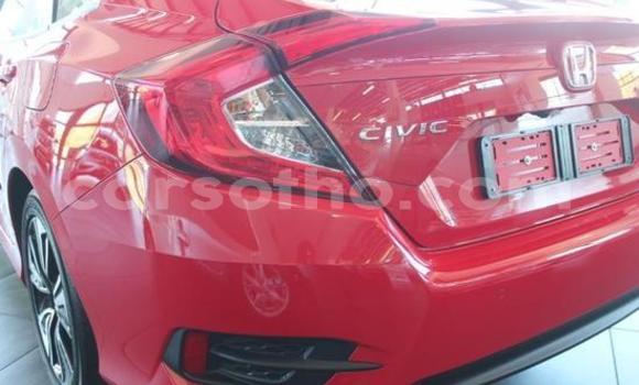 Buy Used Honda Civic Red Car in Thaba–Tseka in Mafeteng Buy Used Honda Civic Red Car in Thaba–Tseka in Mafeteng