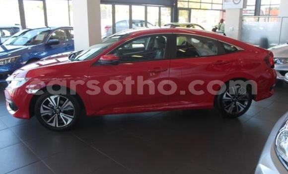 Buy Used Honda Civic Red Car in Thaba–Tseka in Mafeteng Buy Used Honda Civic Red Car in Thaba–Tseka in Mafeteng