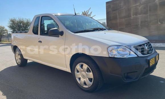 اشتري مستعمل Nissan NP 300 White سيارة في Maseru في Maseru اشتري مستعمل Nissan NP 300 White سيارة في Maseru في Maseru