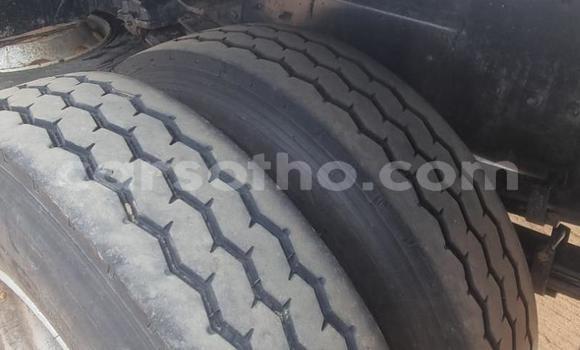 Acheter Occasion Utilitaire Isuzu FVZ Blanc à Maseru, Maseru Acheter Occasion Utilitaire Isuzu FVZ Blanc à Maseru, Maseru