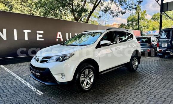 Buy Used Toyota RAV4 White Car in Maseru in Maseru