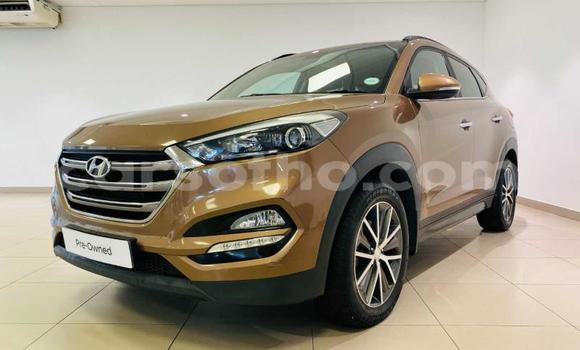 اشتري مستعمل Hyundai Tucson Brown سيارة في Maseru في Maseru اشتري مستعمل Hyundai Tucson Brown سيارة في Maseru في Maseru