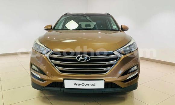 Sayi Na hannu Hyundai Tucson Brown Mota in Maseru a Maseru Sayi Na hannu Hyundai Tucson Brown Mota in Maseru a Maseru