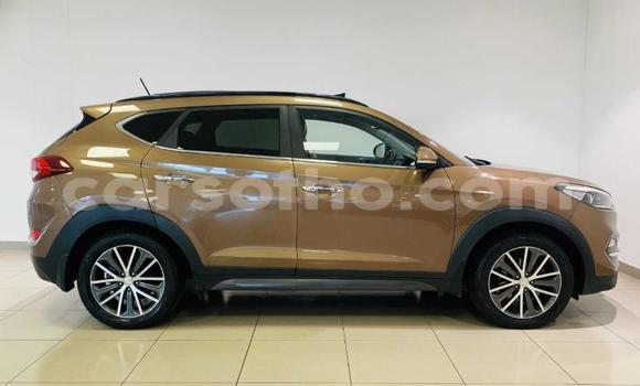 Sayi Na hannu Hyundai Tucson Brown Mota in Maseru a Maseru Sayi Na hannu Hyundai Tucson Brown Mota in Maseru a Maseru