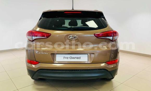 Sayi Na hannu Hyundai Tucson Brown Mota in Maseru a Maseru Sayi Na hannu Hyundai Tucson Brown Mota in Maseru a Maseru