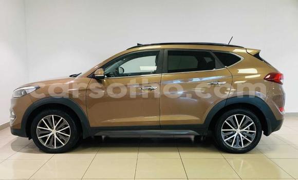 Sayi Na hannu Hyundai Tucson Brown Mota in Maseru a Maseru Sayi Na hannu Hyundai Tucson Brown Mota in Maseru a Maseru