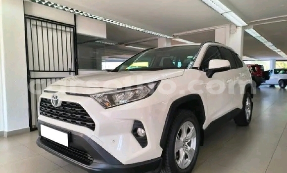 Sayi Na hannu Toyota RAV4 White Mota in Maseru a Maseru Sayi Na hannu Toyota RAV4 White Mota in Maseru a Maseru