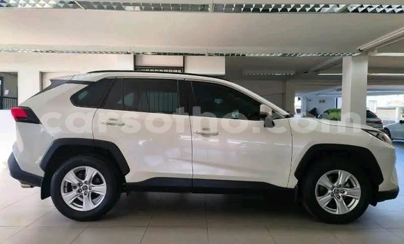 Sayi Na hannu Toyota RAV4 White Mota in Maseru a Maseru Sayi Na hannu Toyota RAV4 White Mota in Maseru a Maseru