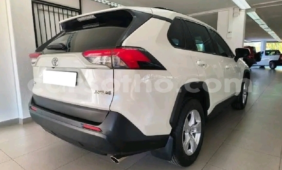 Sayi Na hannu Toyota RAV4 White Mota in Maseru a Maseru Sayi Na hannu Toyota RAV4 White Mota in Maseru a Maseru