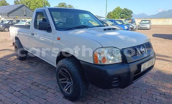 Buy Used Nissan NP 300 White Car in Maseru in Maseru Buy Used Nissan NP 300 White Car in Maseru in Maseru
