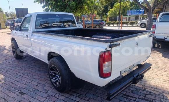 Buy Used Nissan NP 300 White Car in Maseru in Maseru Buy Used Nissan NP 300 White Car in Maseru in Maseru