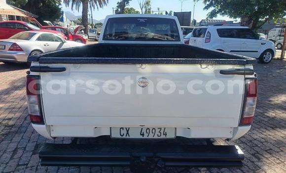 Buy Used Nissan NP 300 White Car in Maseru in Maseru Buy Used Nissan NP 300 White Car in Maseru in Maseru