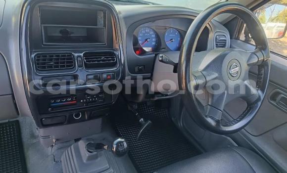 Buy Used Nissan NP 300 White Car in Maseru in Maseru Buy Used Nissan NP 300 White Car in Maseru in Maseru