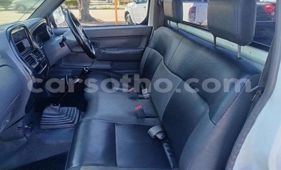 Buy Used Nissan NP 300 White Car in Maseru in Maseru Buy Used Nissan NP 300 White Car in Maseru in Maseru