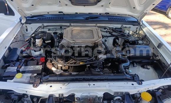 Buy Used Nissan NP 300 White Car in Maseru in Maseru Buy Used Nissan NP 300 White Car in Maseru in Maseru