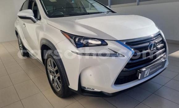 اشتري مستعمل Lexus NX White سيارة في Maseru في Maseru