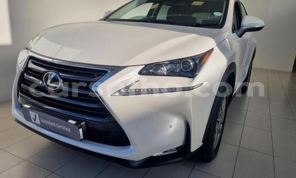 اشتري مستعمل Lexus NX White سيارة في Maseru في Maseru اشتري مستعمل Lexus NX White سيارة في Maseru في Maseru