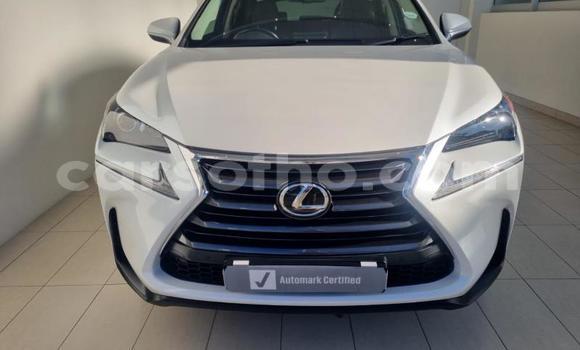 اشتري مستعمل Lexus NX White سيارة في Maseru في Maseru اشتري مستعمل Lexus NX White سيارة في Maseru في Maseru