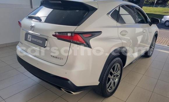 اشتري مستعمل Lexus NX White سيارة في Maseru في Maseru اشتري مستعمل Lexus NX White سيارة في Maseru في Maseru