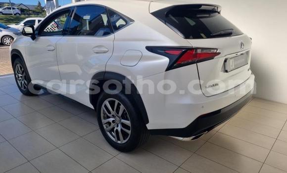 اشتري مستعمل Lexus NX White سيارة في Maseru في Maseru اشتري مستعمل Lexus NX White سيارة في Maseru في Maseru