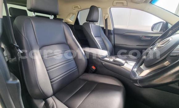 اشتري مستعمل Lexus NX White سيارة في Maseru في Maseru اشتري مستعمل Lexus NX White سيارة في Maseru في Maseru
