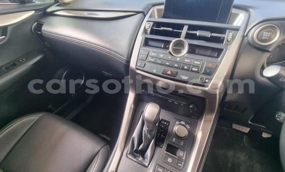 اشتري مستعمل Lexus NX White سيارة في Maseru في Maseru اشتري مستعمل Lexus NX White سيارة في Maseru في Maseru