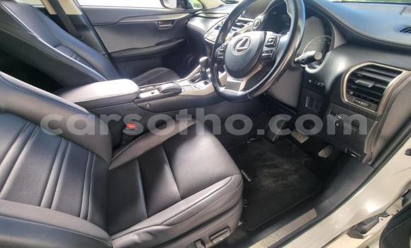 اشتري مستعمل Lexus NX White سيارة في Maseru في Maseru اشتري مستعمل Lexus NX White سيارة في Maseru في Maseru