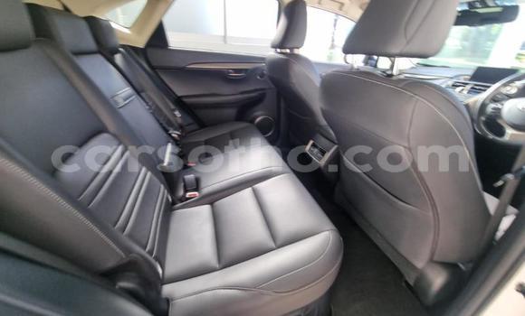 اشتري مستعمل Lexus NX White سيارة في Maseru في Maseru اشتري مستعمل Lexus NX White سيارة في Maseru في Maseru
