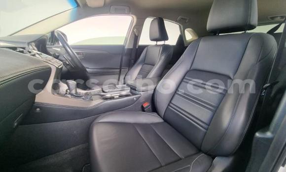 اشتري مستعمل Lexus NX White سيارة في Maseru في Maseru اشتري مستعمل Lexus NX White سيارة في Maseru في Maseru
