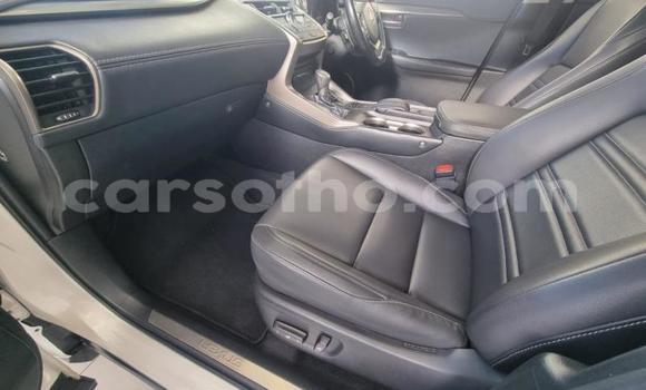 اشتري مستعمل Lexus NX White سيارة في Maseru في Maseru اشتري مستعمل Lexus NX White سيارة في Maseru في Maseru
