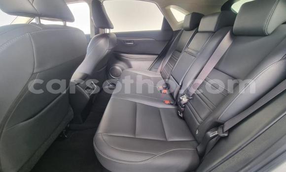 اشتري مستعمل Lexus NX White سيارة في Maseru في Maseru اشتري مستعمل Lexus NX White سيارة في Maseru في Maseru
