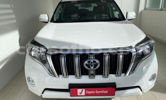 اشتري مستعمل Toyota Land Cruiser Prado White سيارة في Maseru في Maseru اشتري مستعمل Toyota Land Cruiser Prado White سيارة في Maseru في Maseru