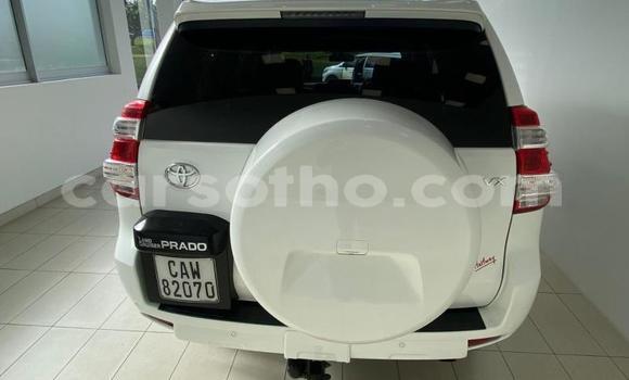 اشتري مستعمل Toyota Land Cruiser Prado White سيارة في Maseru في Maseru اشتري مستعمل Toyota Land Cruiser Prado White سيارة في Maseru في Maseru