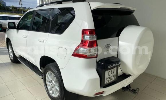 اشتري مستعمل Toyota Land Cruiser Prado White سيارة في Maseru في Maseru اشتري مستعمل Toyota Land Cruiser Prado White سيارة في Maseru في Maseru