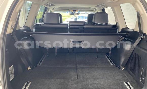اشتري مستعمل Toyota Land Cruiser Prado White سيارة في Maseru في Maseru اشتري مستعمل Toyota Land Cruiser Prado White سيارة في Maseru في Maseru
