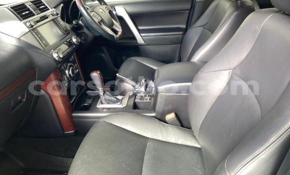 اشتري مستعمل Toyota Land Cruiser Prado White سيارة في Maseru في Maseru اشتري مستعمل Toyota Land Cruiser Prado White سيارة في Maseru في Maseru