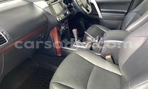 اشتري مستعمل Toyota Land Cruiser Prado White سيارة في Maseru في Maseru اشتري مستعمل Toyota Land Cruiser Prado White سيارة في Maseru في Maseru