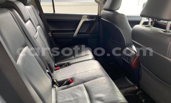 اشتري مستعمل Toyota Land Cruiser Prado White سيارة في Maseru في Maseru اشتري مستعمل Toyota Land Cruiser Prado White سيارة في Maseru في Maseru