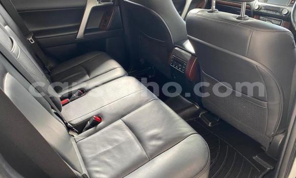 اشتري مستعمل Toyota Land Cruiser Prado White سيارة في Maseru في Maseru اشتري مستعمل Toyota Land Cruiser Prado White سيارة في Maseru في Maseru